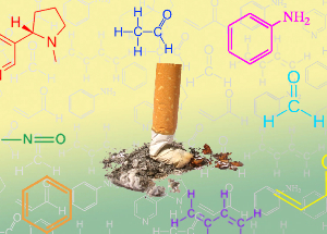 NicoZero blocks the susceptibility of the receptors to nicotine